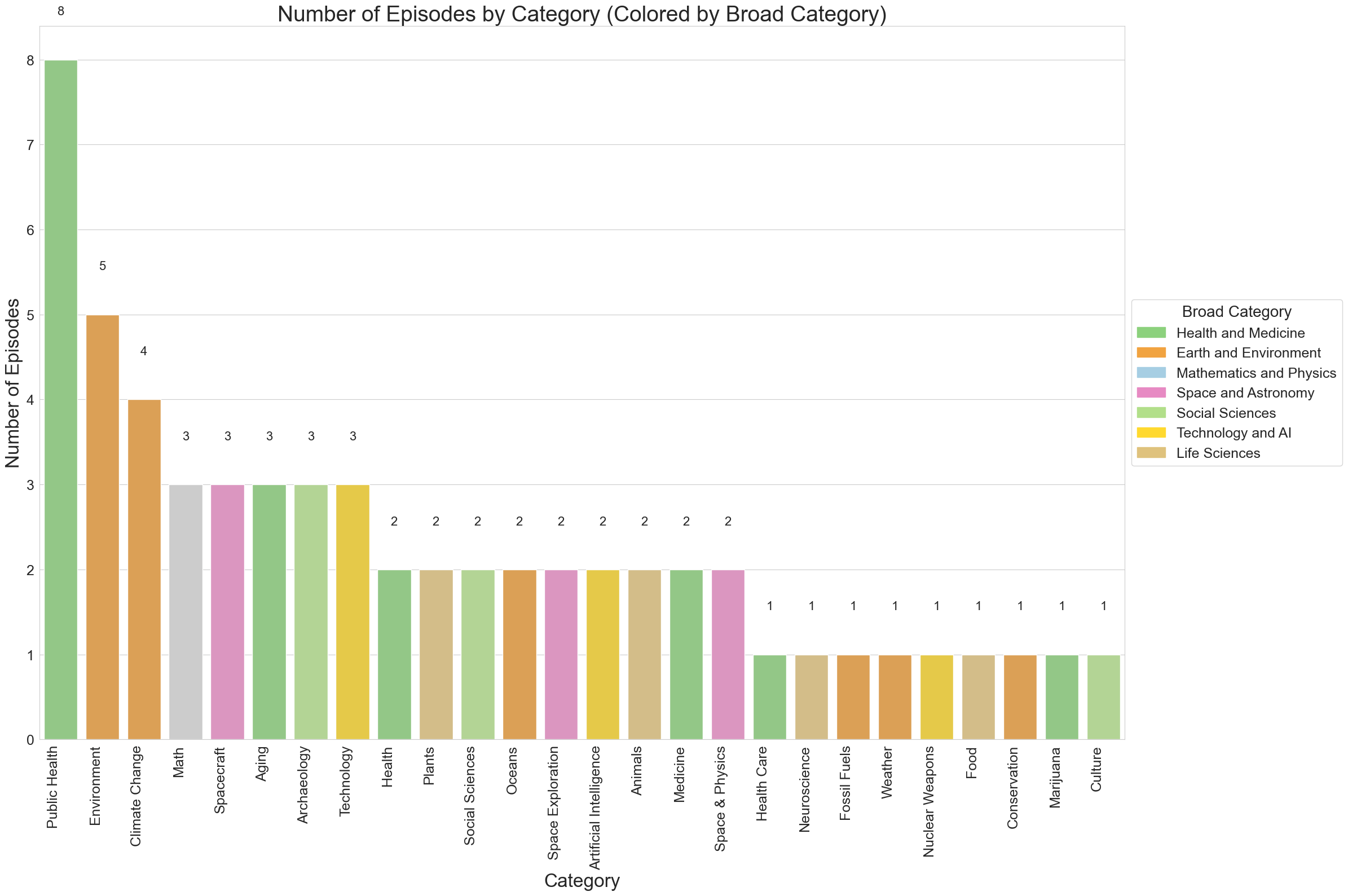 Category Visualization